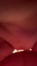 Masterqueso webcam model stream image