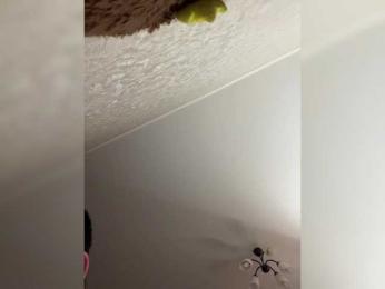 HellMor webcam bongacams model stream image