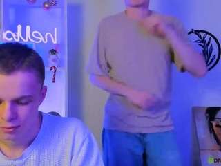 fose-di webcam model stream image