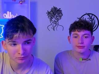 fose-di webcam model stream image