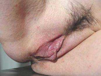 Xollan webcam model stream image