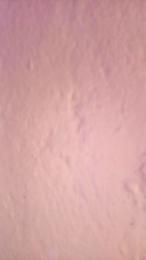 KimieChan webcam cam4 model stream image