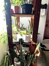 Lust_guy27 webcam model stream image