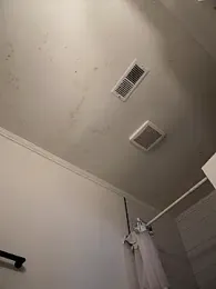 2HandsLong webcam model stream image