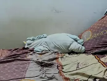 MapVuiVe webcam model stream image