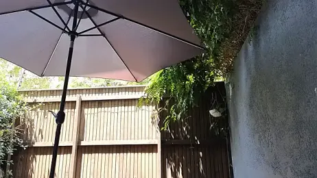 TopsyWilde webcam model stream image