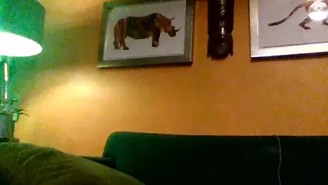 trash4cash webcam model stream image