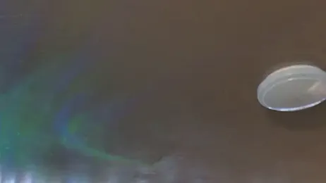 mavismable webcam stripchat model stream image