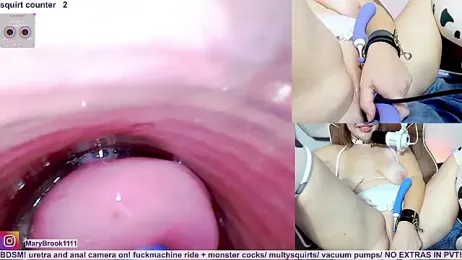 MaryBrook1 webcam model stream image