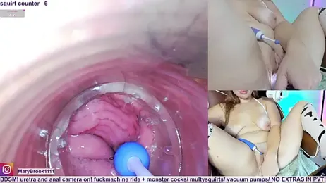 MaryBrook1 webcam model stream image