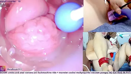 MaryBrook1 webcam model stream image