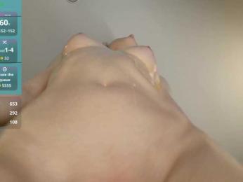 Visbee webcam model stream image