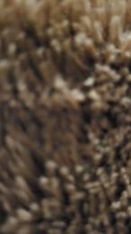 Duro0784 webcam model stream image