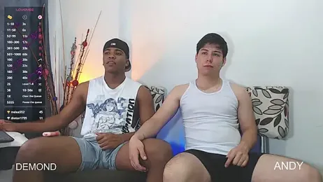 DEMOND_333 webcam model stream image