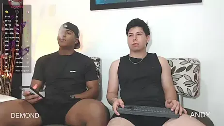 DEMOND_333 webcam model stream image