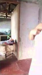 StarLadyxxx webcam model stream image