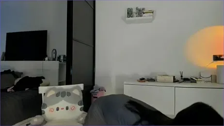 kokyokka_v webcam stripchat model stream image