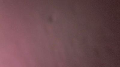 aloha_catita webcam model stream image