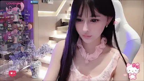 fog- webcam model stream image