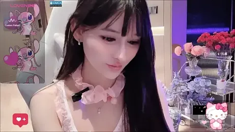 fog- webcam model stream image