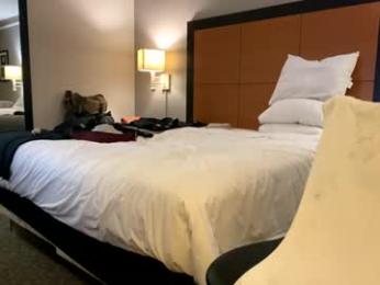 italiankingstripper webcam model stream image