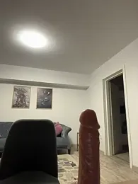 miaceleste webcam model stream image