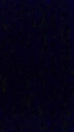 Yasmi2026 webcam model stream image