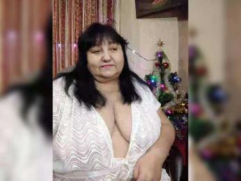 Nezsbudka webcam model stream image