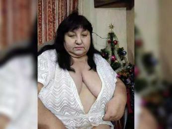 Nezsbudka webcam model stream image