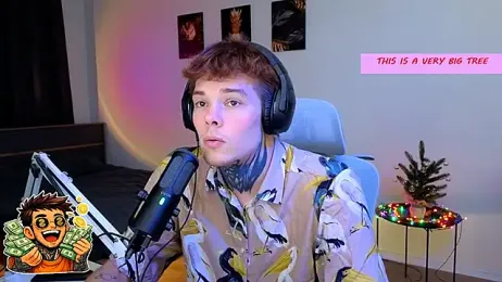 DENIS_HERE webcam model stream image