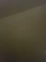 Merlin2310 webcam model stream image