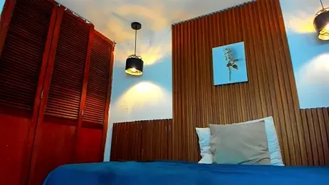 David_niet webcam model stream image