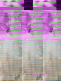 FUNINWV9 webcam stripchat model stream image