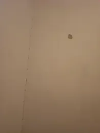 Sasu88_2 webcam model stream image