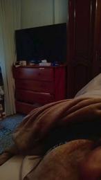 davidof3127 webcam model stream image