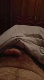 davidof3127 webcam model stream image