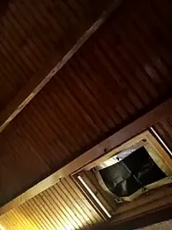 CurlyElisa webcam stripchat model stream image