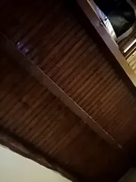 CurlyElisa webcam model stream image