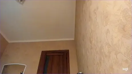 Diamond_D_ webcam model stream image