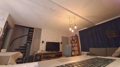 Goflame webcam model stream image