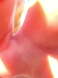 thenakedtraveler webcam model stream image