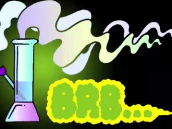 palmanford webcam model stream image