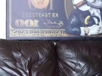 palmanford webcam model stream image