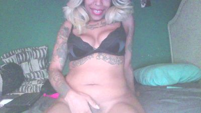 stella_clitella webcam model stream image