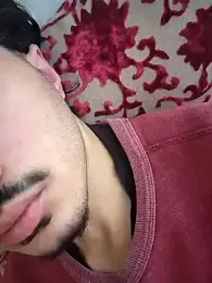 HitShelf webcam model stream image