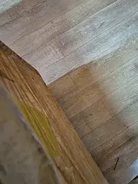 starvingo2002 webcam model stream image