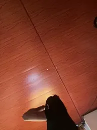 Terra_moonlight webcam model stream image