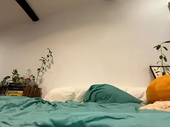 Lenouveau- webcam model stream image