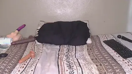 CherieBlushX webcam model stream image