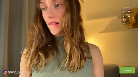 spring_forest webcam model stream image